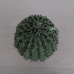 くるみ割り人形 小さなミュージアム 木製クリスマスツリー 木緑 約30cmの画像