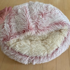 小型犬や猫の寝床の画像