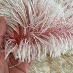 小型犬や猫の寝床の画像