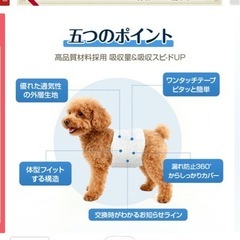 大型犬用オムツ合計235枚オムツ　の画像
