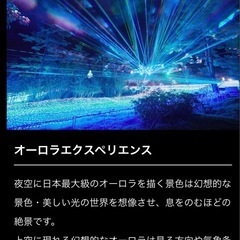 京都イルミネーション　シナスタジアヒルズ の画像