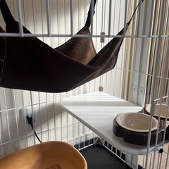 ♡ウッドワンサークルキャットミニ　猫用　ホワイト♡の画像