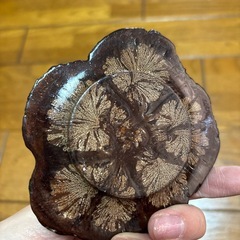 木製のお皿？　5個の画像