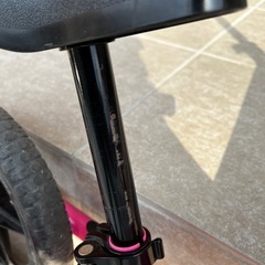 ストライダー　子ども用自転車の画像