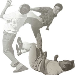 実践的な護身術｜ジークンドー・フィリピン武術 教室（和歌山・日曜）の画像