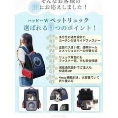 宇宙船型ペット犬猫うさぎキャリーケースダークブルーレッドカラーほぼ未使用の画像