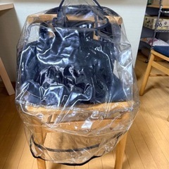 バガブーカメレオンス3 レインカバー　純正　正規品　美品の画像