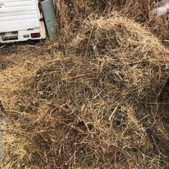 草 家畜飼料 田畑の肥料等に！ 
の画像