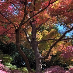 13日　土曜🍺募集でーす。