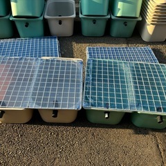 めだか飼育ケース&すのこ&害獣日除け対策ネットの画像