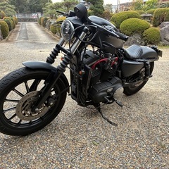 スポスタハーレーXL883Nアイアン車検あります。　の画像