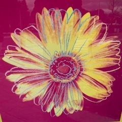 アンディ・ウォーホル　額付き　デイジー　ポップアート　額装　名画の画像