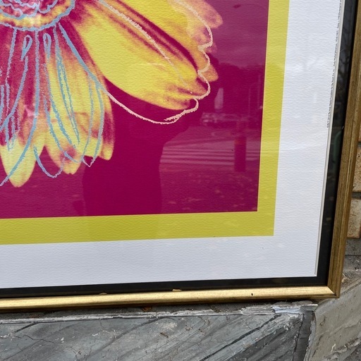 アンディ・ウォーホル 額付き デイジー ポップアート 額装 名画
