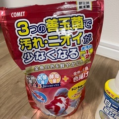 ⭐︎お魚お世話セット⭐︎の画像