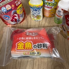 ⭐︎お魚お世話セット⭐︎の画像