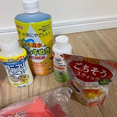 ⭐︎お魚お世話セット⭐︎の画像