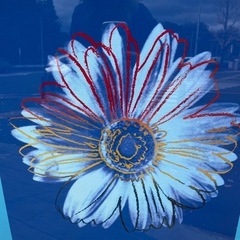 アンディ・ウォーホル　額付き　 デイジー　ポップアート　額装　名画の画像