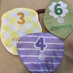 くまのプーさん　てあそびいっぱいおうちにへんしんジムの画像