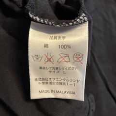 ディズニーランド・Tシャツの画像