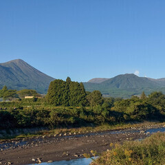 令和7年産 新米　宮崎県産　ひのひかり　玄米　20kg　農薬不使用　除草剤不使用　有機肥料栽培　生産者直送　小分け対応可の画像