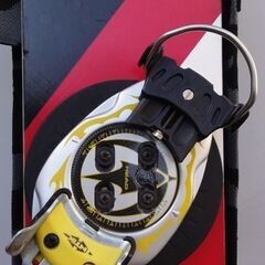 アルペンスノーボードの画像