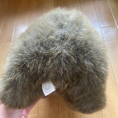 ウォンバット　ぬいぐるみ　オーストラリアの画像