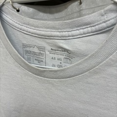 patagonia  ロングTシャツ　29の画像