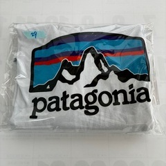 patagonia  ロングTシャツ　29の画像