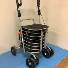 ハーモニーの手押しショッピングカートの画像