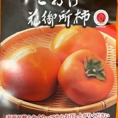 花御所柿3Lサイズ1個の画像