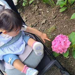 【Combi】ベビーカー　スゴカルminimoの画像