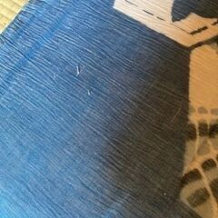 座布団５枚の画像