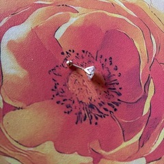 14k金片ピアシンの画像