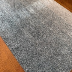 ★決まりました　ラグ　じゅうたん　大塚家具の画像