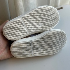 16.0  プティマイン シューズの画像