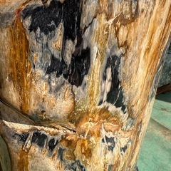 木化石　グレーと茶色のストライプの画像