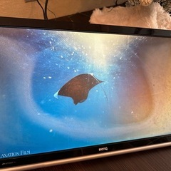 24インチ BenQモニタ　傷あり スタンドなし PCリサイクルマーク付きの画像