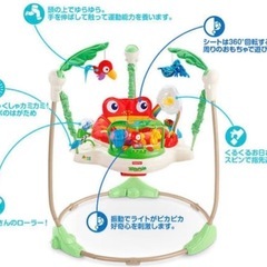 フィッシャープライス Fisher- Price レインフォレスト・ジャンパルーの画像