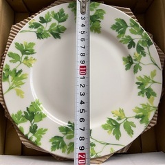 未使用・イタリアンハーブ柄20cmプレート4枚の画像