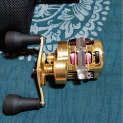 カルカッタコンクエストMD401XGLHの画像