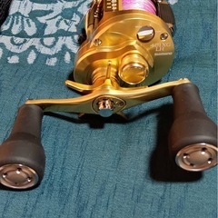 カルカッタコンクエストMD401XGLHの画像