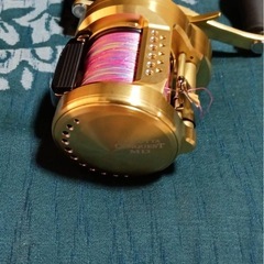 カルカッタコンクエストMD401XGLHの画像