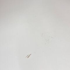 A-778【リユースのサカイ野々市店】ジモティ来店特価‼ ２枚扉食器棚 木製 ホワイト クリーニング済みの画像