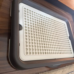 未使用　犬用トイレトレーの画像