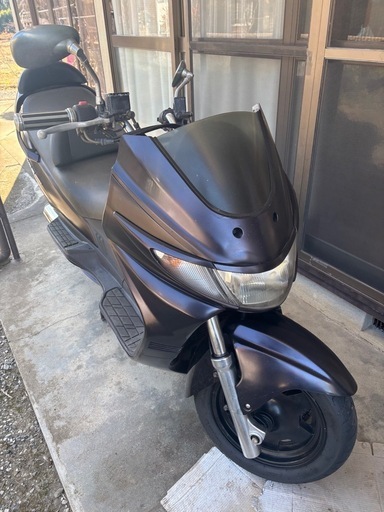 スカイウェブ250