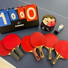 卓球台 国際規格サイズ セパレート式(移動キャスター付) 天板18mmの画像