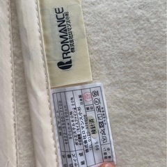 洗える　除湿シートの画像