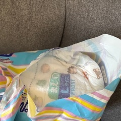 オムツ、トレーニングパッドの画像