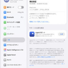 【第7世代】iPad mini7 Wi-Fi+Cellular 128GB スペースグレイ MXPT3J/A A2995の画像