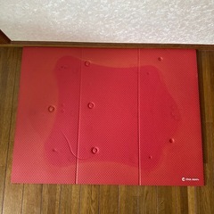 健康ステッパー ナイスデイカウンター 専用ハンドル 専用マット付 NICEDAY ショップジャパン ND-1R レッドの画像